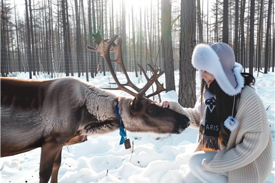 The Deer Tribe